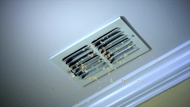 Best Air Duct Sanitizing Services  in Glencoe, MN