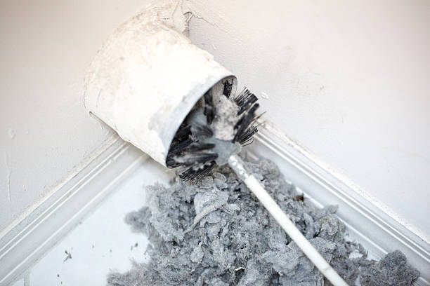 Best Dryer Vent Cleaning Services  in Glencoe, MN